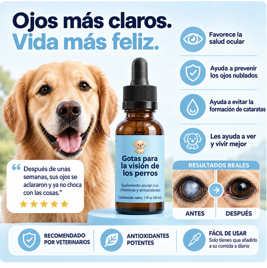 Apoyo Visual Para Perros